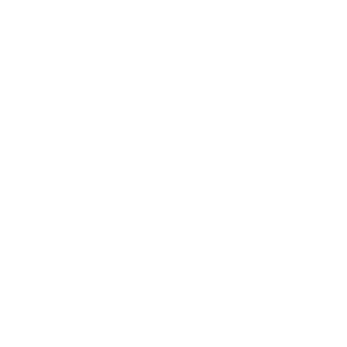Bastion Logo